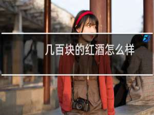 几百块的红酒怎么样