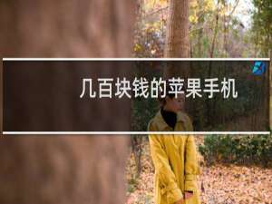 几百块钱的苹果手机