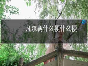 凡尔赛什么梗什么梗