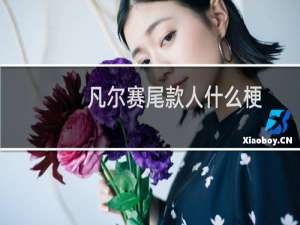 凡尔赛尾款人什么梗