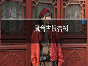 凤台古银杏树