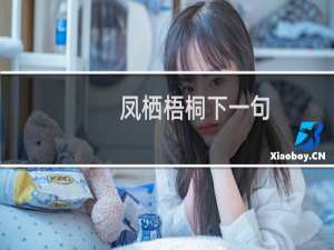 凤栖梧桐下一句（凤栖梧桐下一句是什么）