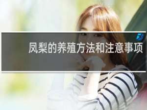 凤梨的养殖方法和注意事项