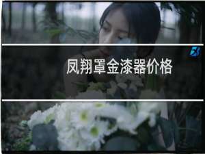凤翔罩金漆器价格