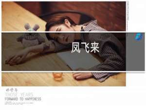 凤飞来（凤飞来的寓意）