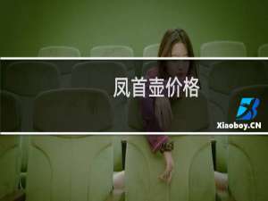 凤首壶价格