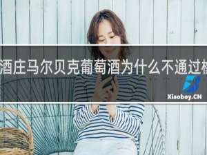 凯洛酒庄马尔贝克葡萄酒为什么不通过橡木桶酿成