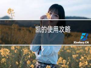 凯的使用攻略