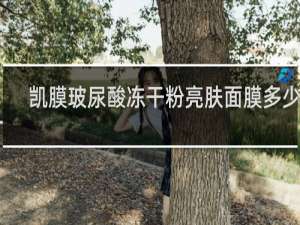 凯膜玻尿酸冻干粉亮肤面膜多少钱