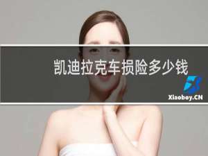 凯迪拉克车损险多少钱