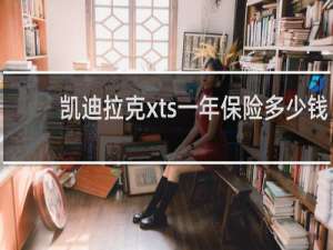 凯迪拉克xts一年保险多少钱