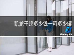 凯龙干啤多少钱一箱多少罐