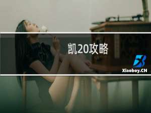 凯 攻略