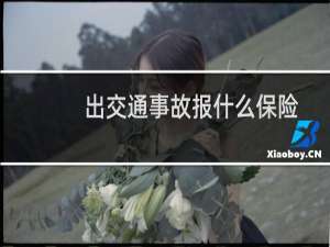 出交通事故报什么保险