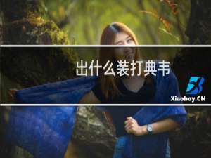 出什么装打典韦