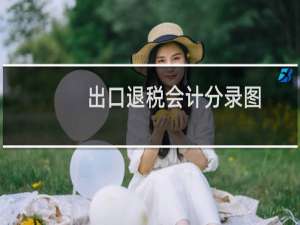 出口退税会计分录图（出口退税会计分录）