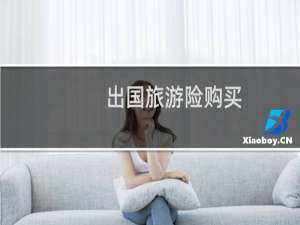 出国旅游险购买