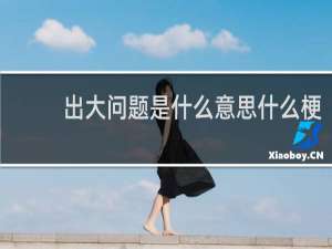 出大问题是什么意思什么梗