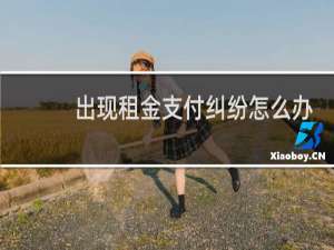 出现租金支付纠纷怎么办