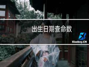 出生日期查命数
