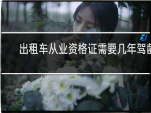 出租车从业资格证需要几年驾龄