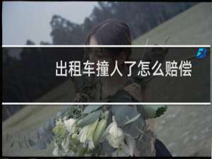 出租车撞人了怎么赔偿