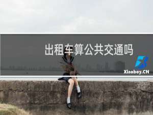 出租车算公共交通吗
