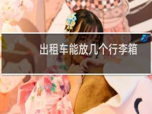 出租车能放几个行李箱
