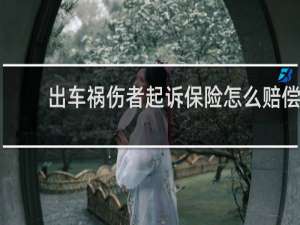 出车祸伤者起诉保险怎么赔偿