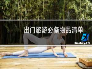 出门旅游必备物品清单