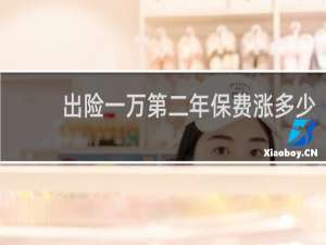出险一万第二年保费涨多少