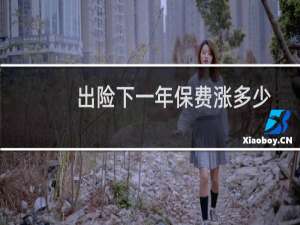 出险下一年保费涨多少