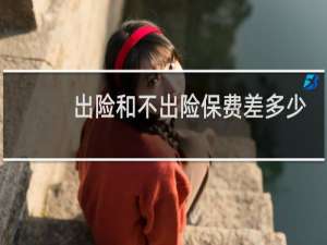 出险和不出险保费差多少