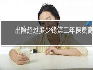 出险超过多少钱第二年保费高