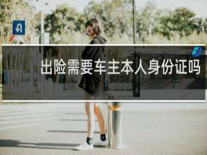 出险需要车主本人身份证吗