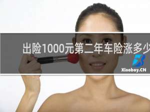 出险1000元第二年车险涨多少
