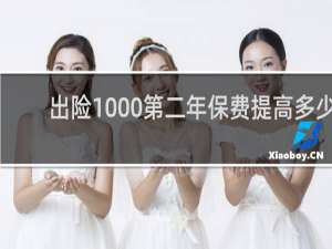 出险1000第二年保费提高多少