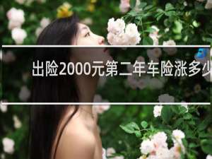 出险2000元第二年车险涨多少