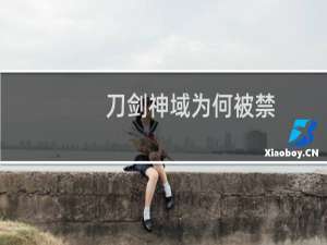 刀剑神域为何被禁