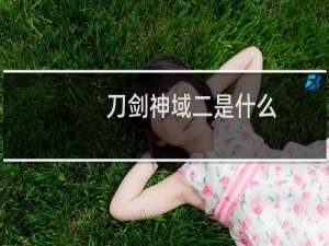 刀剑神域二是什么
