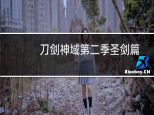 刀剑神域第二季圣剑篇