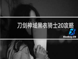 刀剑神域黑衣骑士 攻略