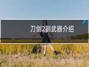 刀剑2副武器介绍