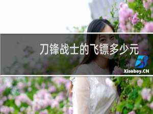 刀锋战士的飞镖多少元