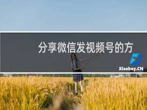 分享微信发视频号的方法