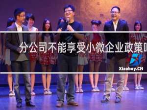 分公司不能享受小微企业政策吗