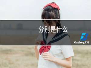 分别是什么