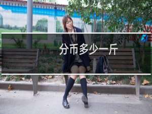 分币多少一斤