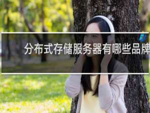 分布式存储服务器有哪些品牌