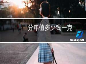 分年值多少钱一克